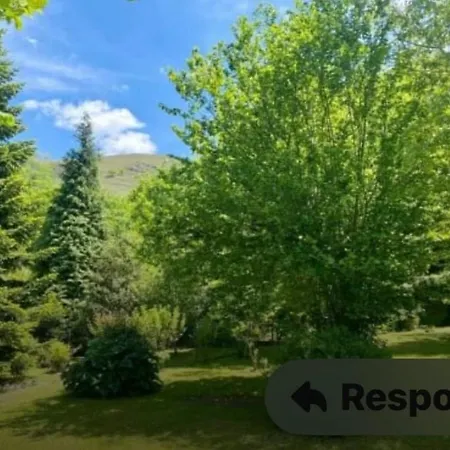 La Punvieja