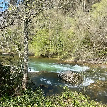 La Punvieja * Los Tojos