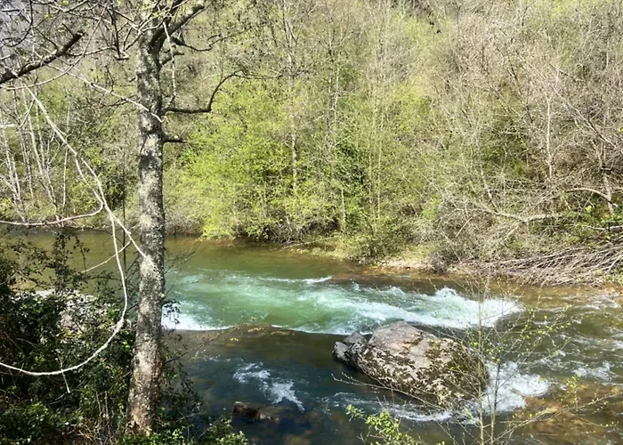 La Punvieja * Los Tojos